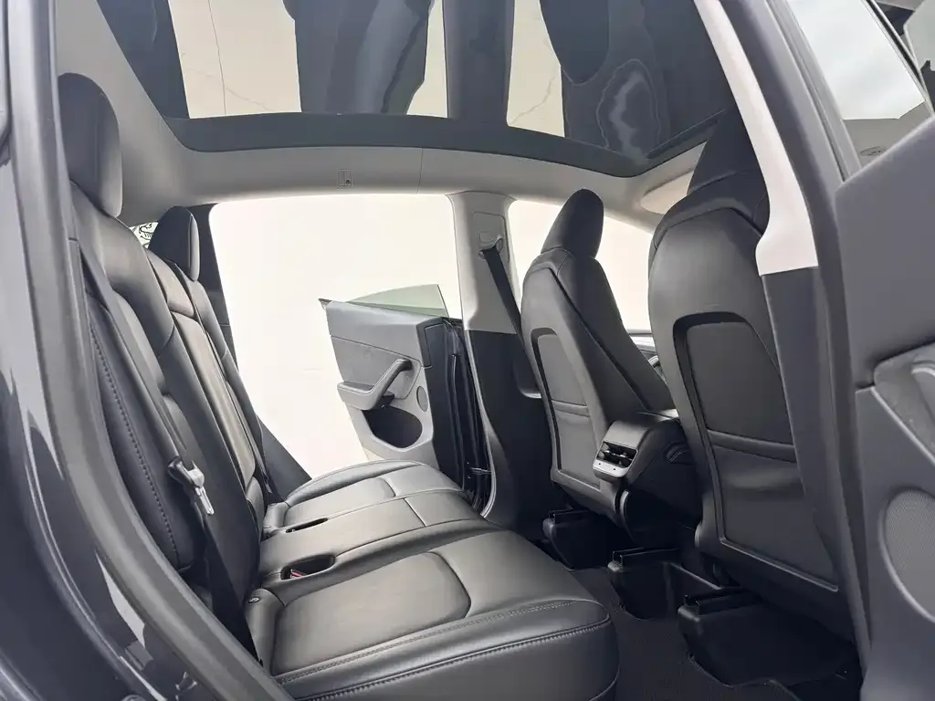 Tesla Model Y 2024 из CN, фото 5