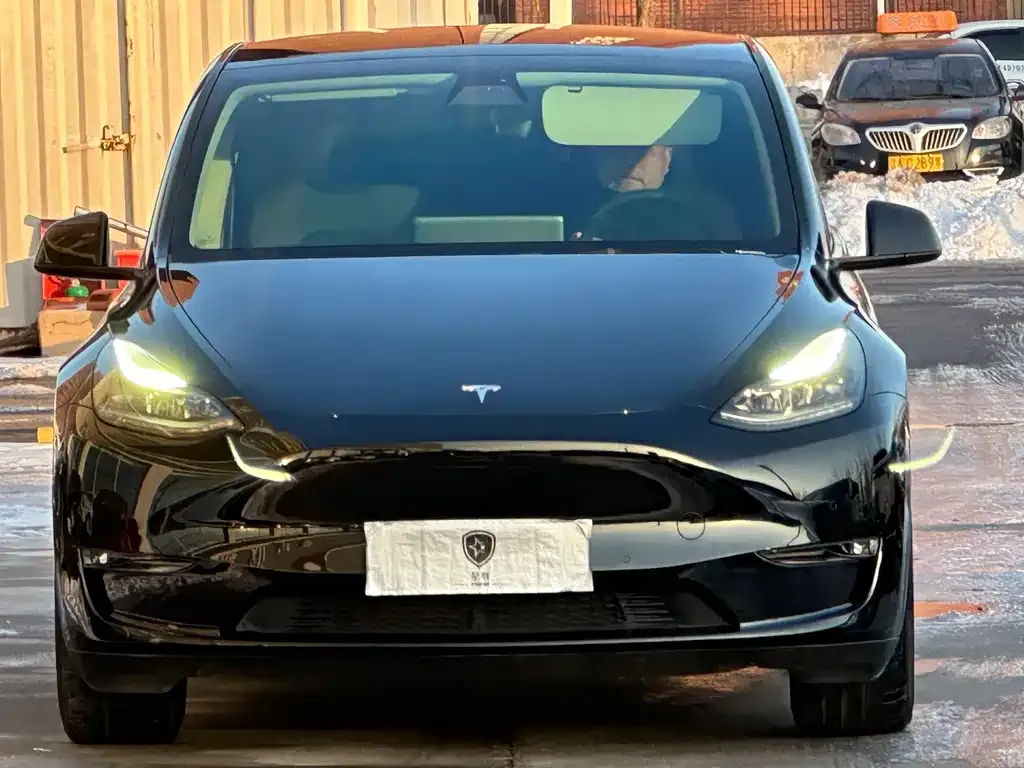 Tesla Model Y 2022 из CN, фото 2