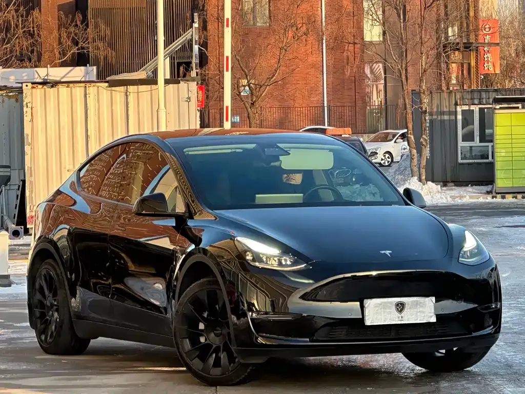 Tesla Model Y 2022 из CN, фото 9