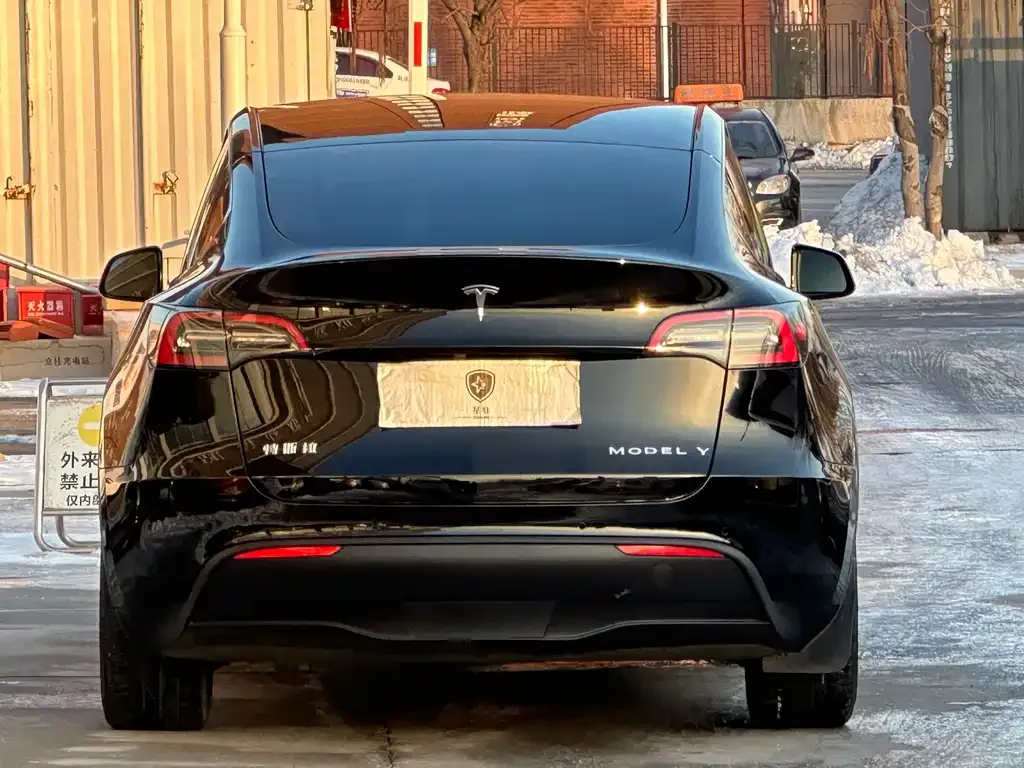 Tesla Model Y 2022 из CN, фото 3