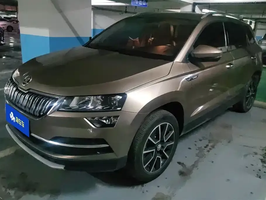 Skoda Karoq 2021 из CN, фото 1