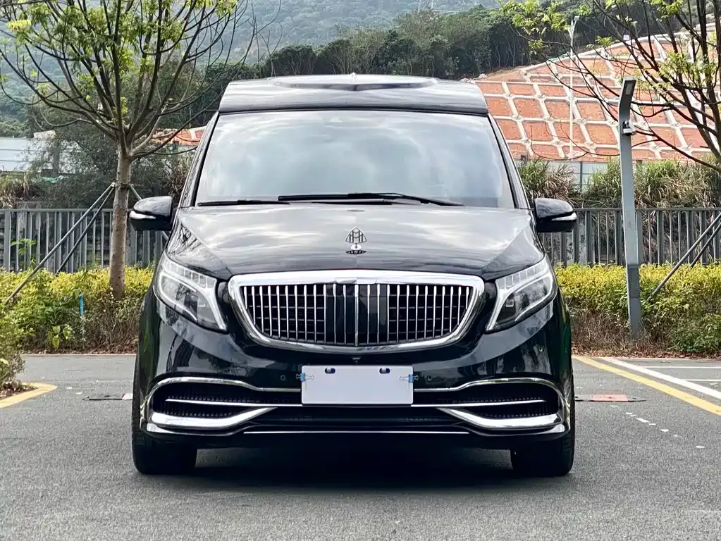 Mercedes-Benz V-Class 2021 из CN, фото 9