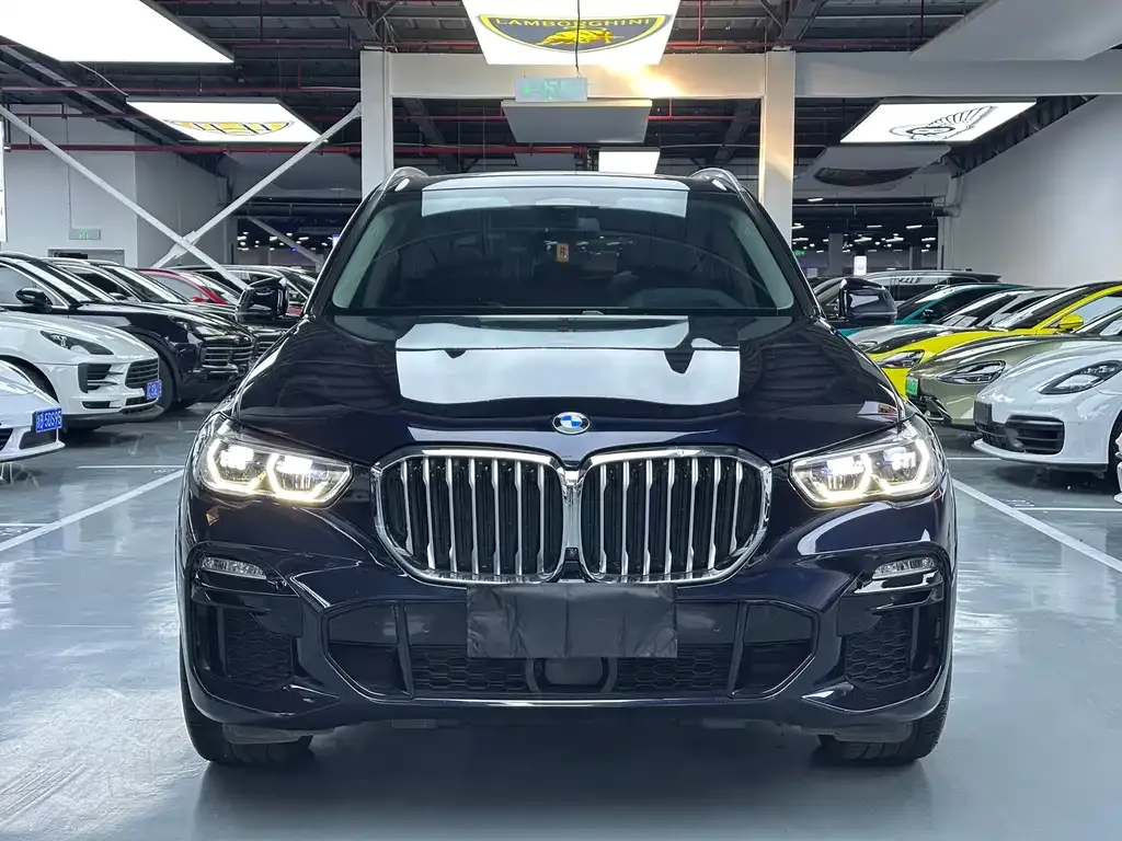 BMW X5 (Import) — фото 7