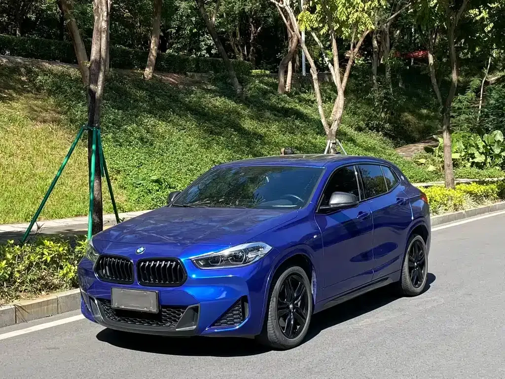 BMW X2 2021 из CN, фото 1