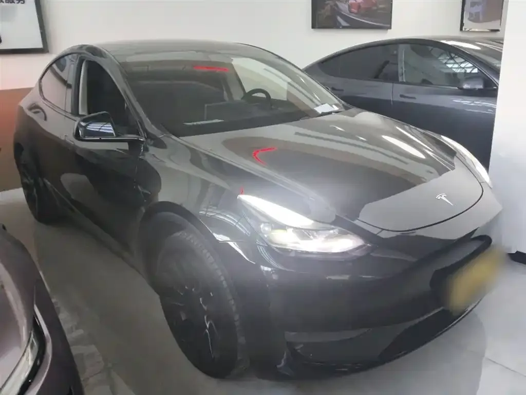 Tesla Model Y — фото 3