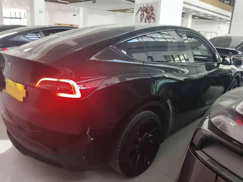 Tesla Model Y — фото 8