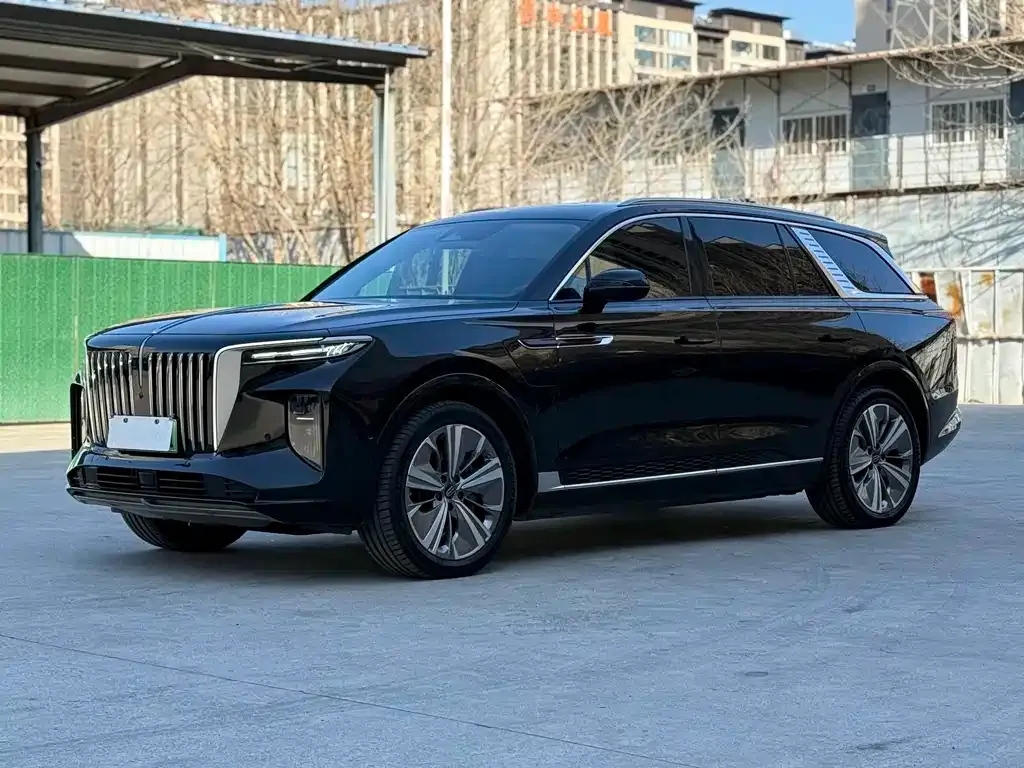 Hongqi E-HS9 2022 из CN, фото 1