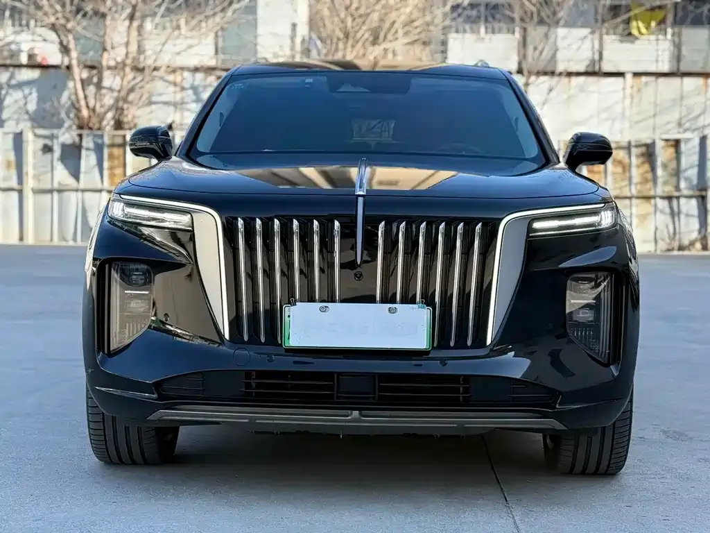 Hongqi E-HS9 2022 из CN, фото 2