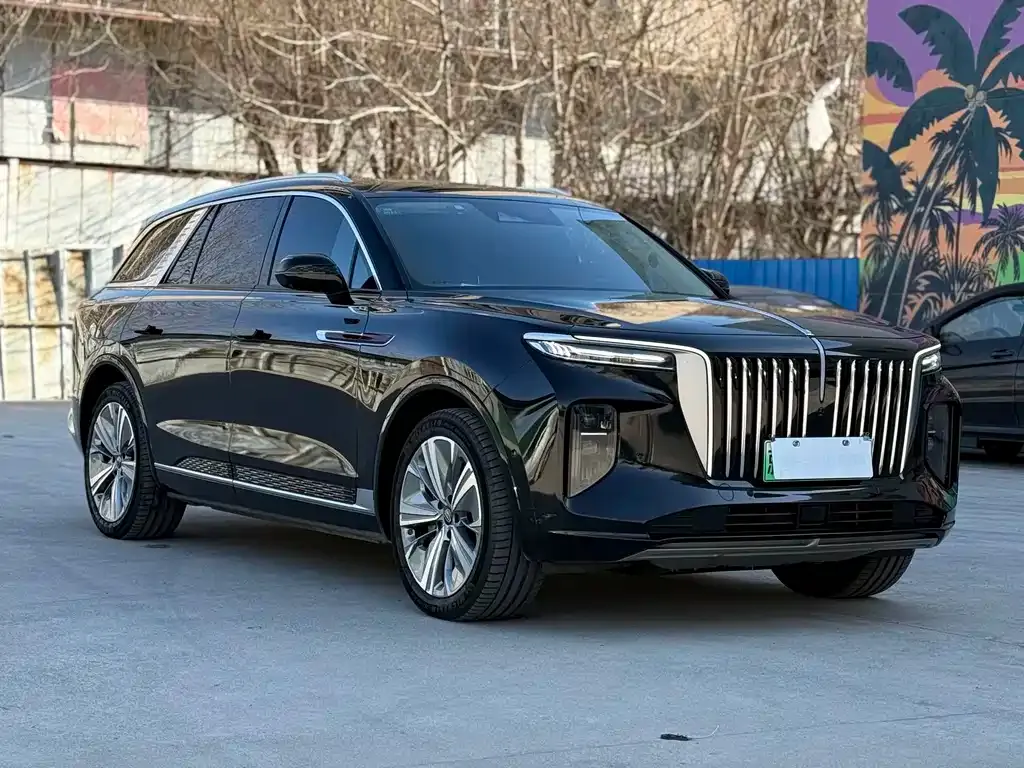 Hongqi E-HS9 2022 из CN, фото 5