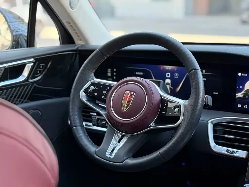 Hongqi E-HS9 2022 из CN, фото 9
