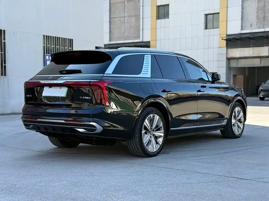 Hongqi E-HS9 2022 из CN, фото 6