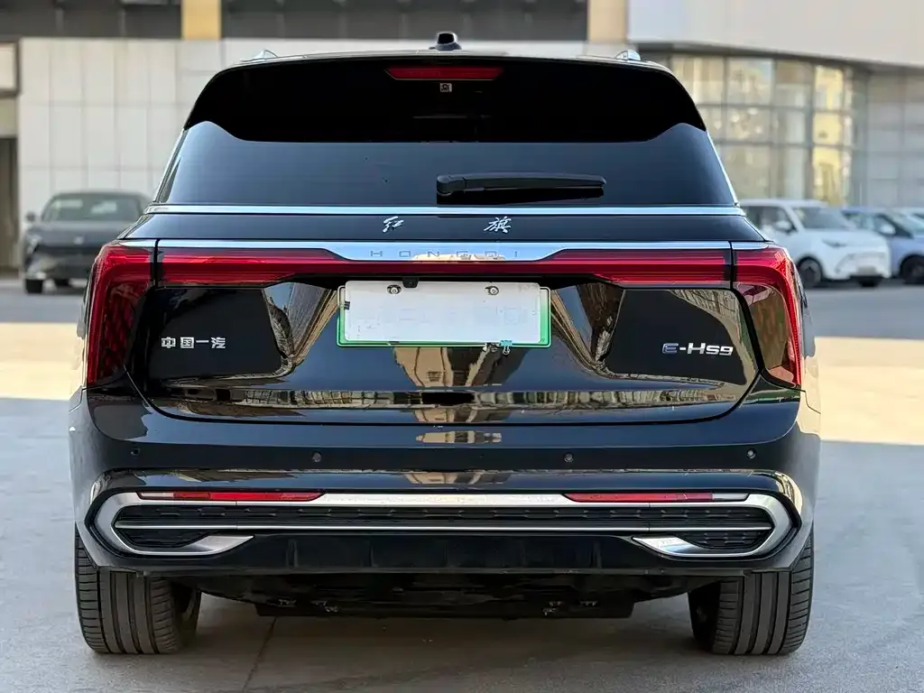 Hongqi E-HS9 2022 из CN, фото 4