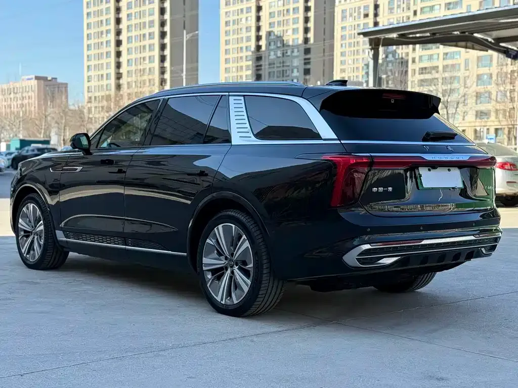 Hongqi E-HS9 2022 из CN, фото 8