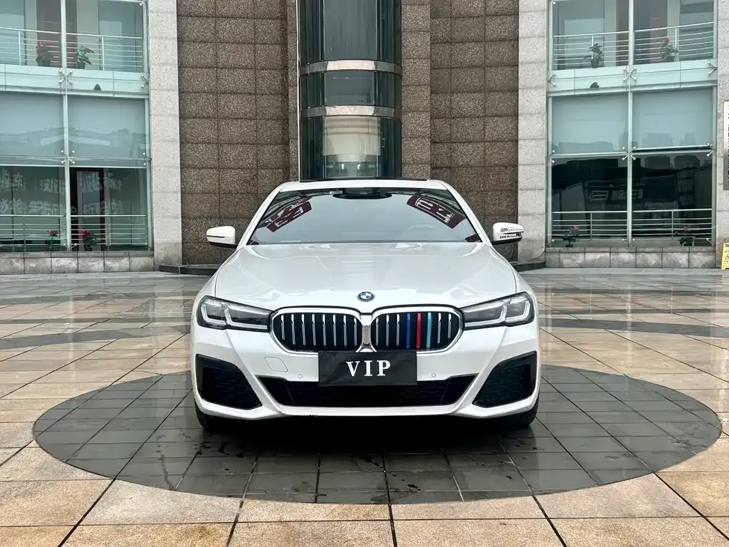 BMW 5 Series 2022 из CN, фото 5