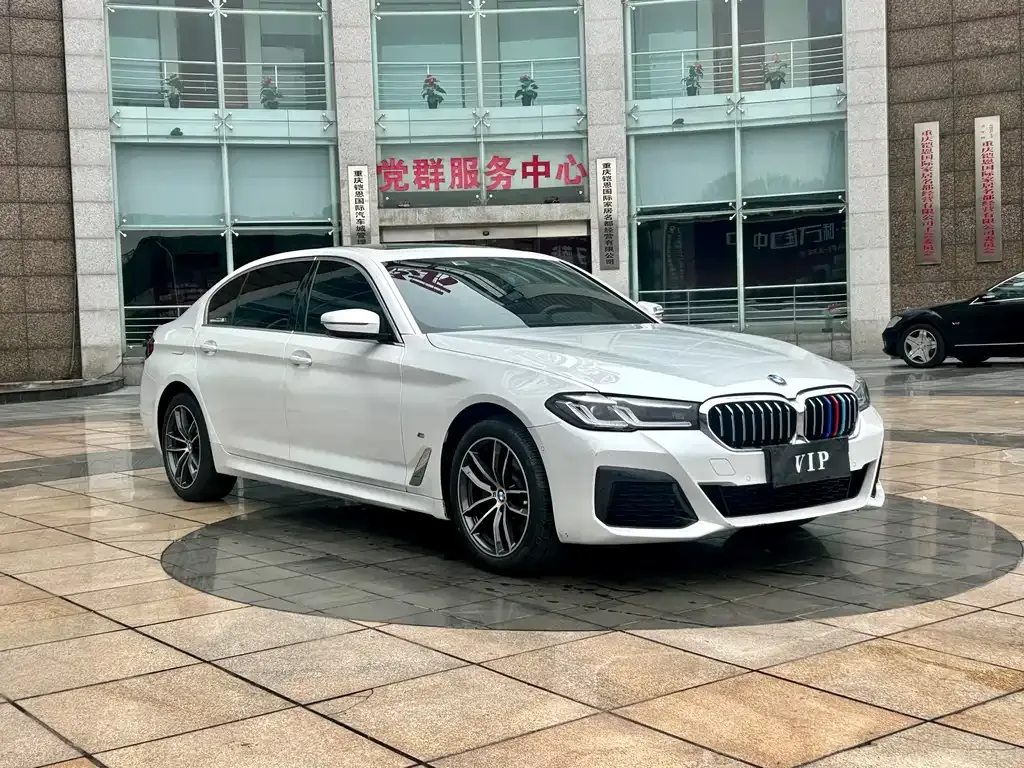 BMW 5 Series 2022 из CN, фото 10