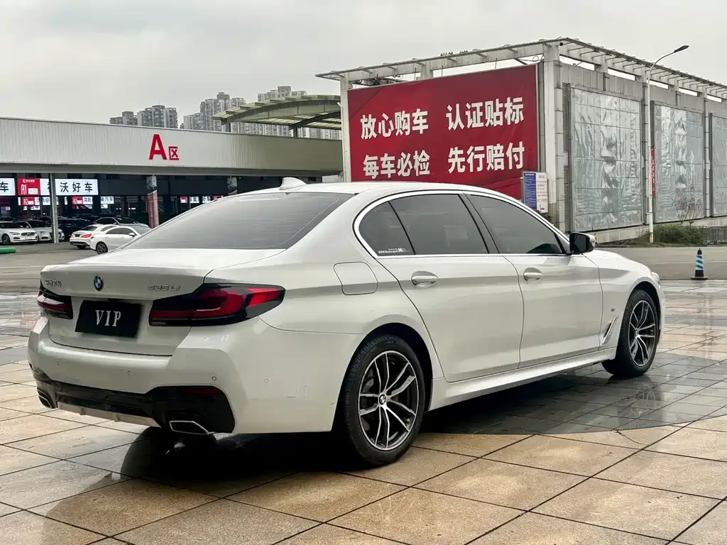 BMW 5 Series 2022 из CN, фото 4