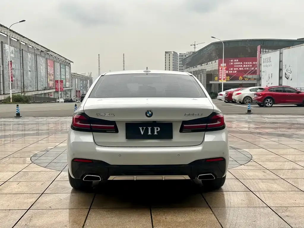 BMW 5 Series 2022 из CN, фото 7