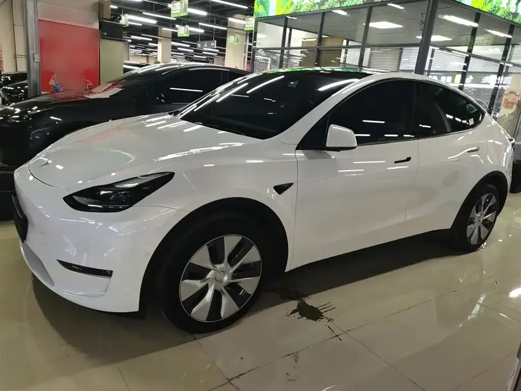 Tesla Model Y — фото 10