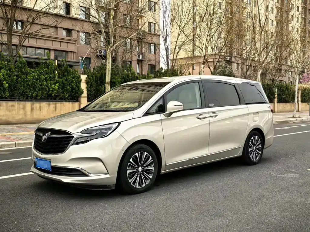 Buick GL8 2021 из CN, фото 1
