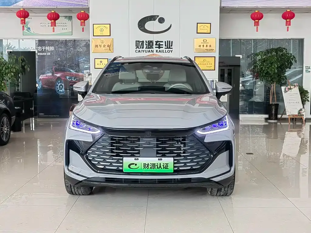 BYD Tang New Energy 2024 из CN, фото 3