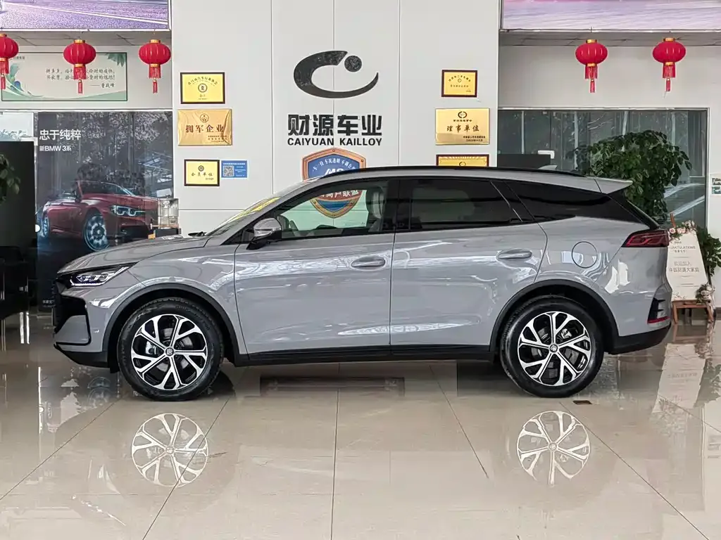 BYD Tang New Energy 2024 из CN, фото 2