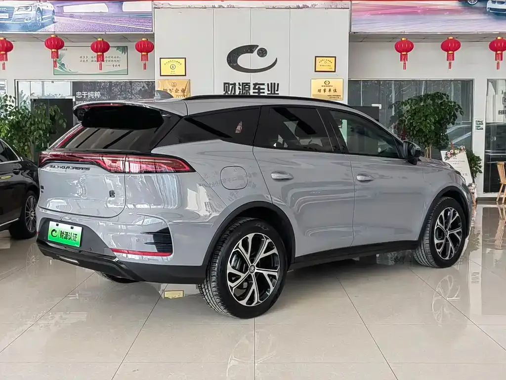 BYD Tang New Energy 2024 из CN, фото 9