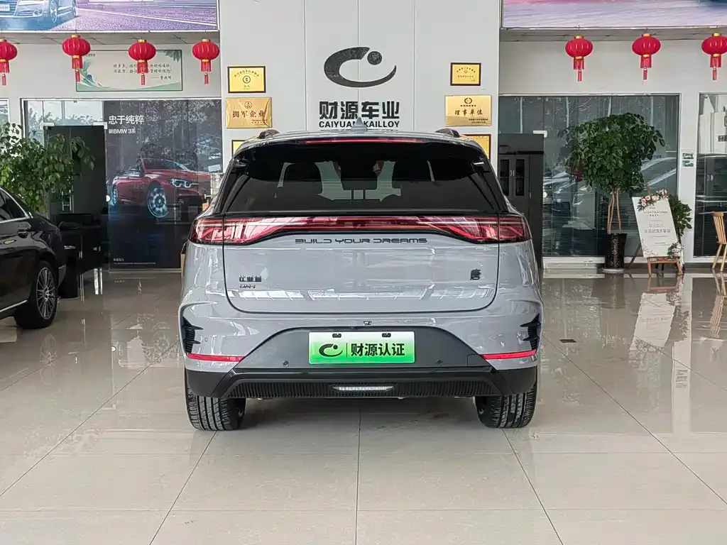 BYD Tang New Energy 2024 из CN, фото 8