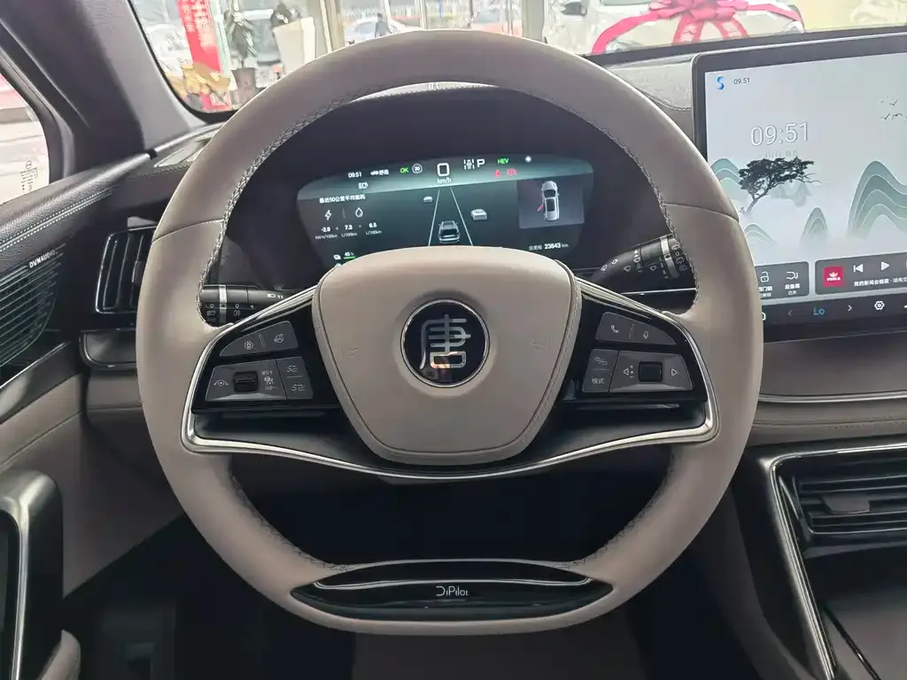 BYD Tang New Energy 2024 из CN, фото 4