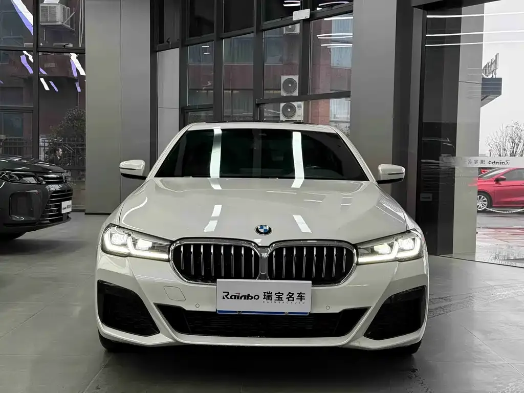 BMW 5 Series 2023 из CN, фото 7