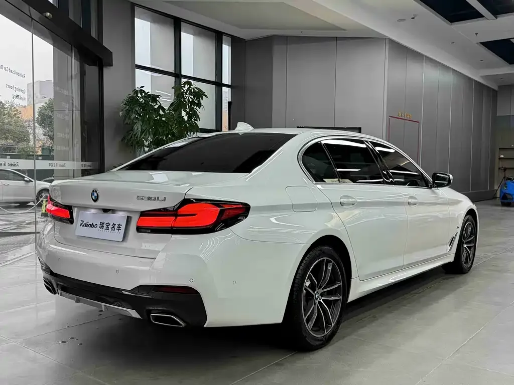 BMW 5 Series 2023 из CN, фото 5
