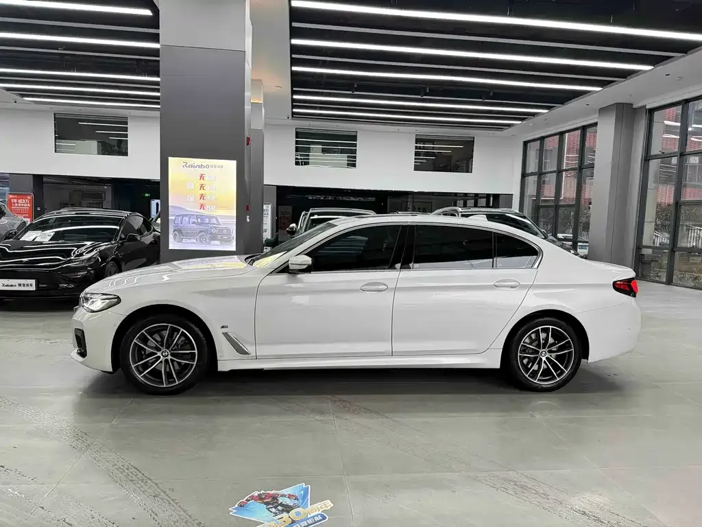 BMW 5 Series 2023 из CN, фото 6