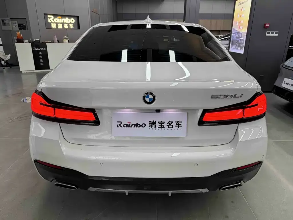 BMW 5 Series 2023 из CN, фото 2