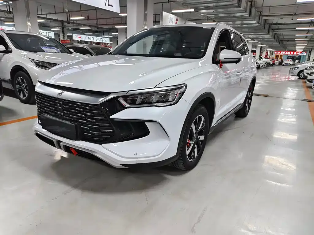 BYD Pro New Energy 2024 из CN, фото 1