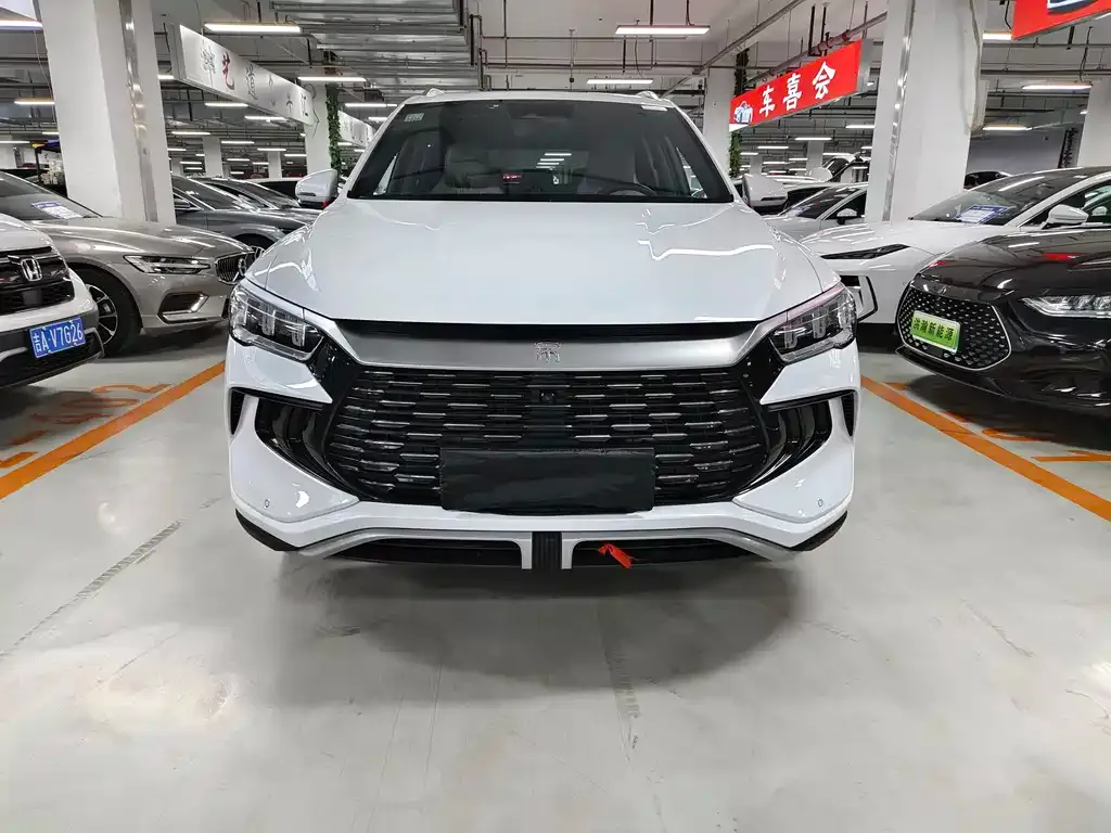 BYD Pro New Energy 2024 из CN, фото 6