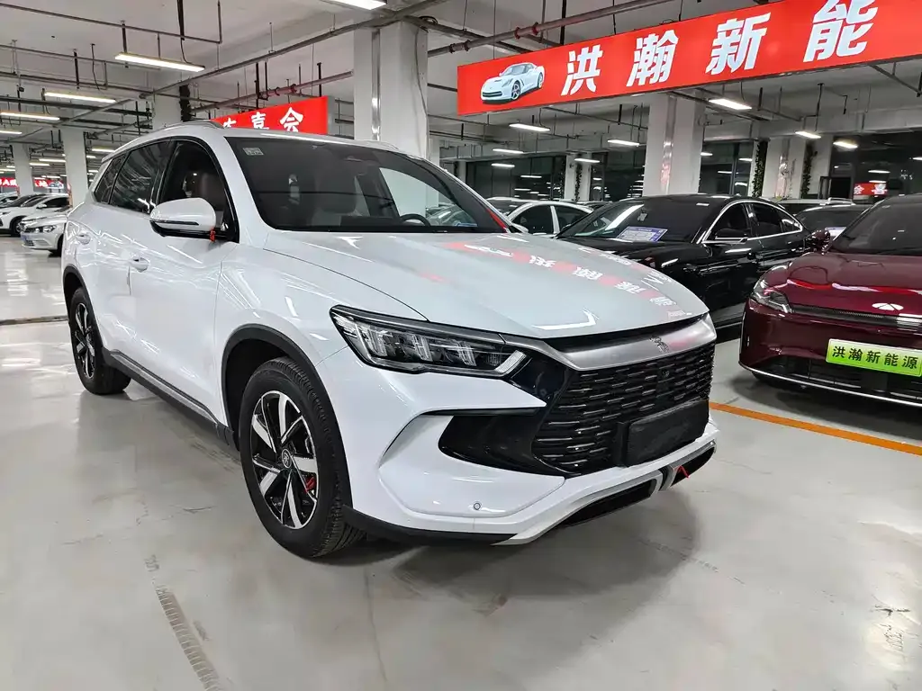 BYD Pro New Energy 2024 из CN, фото 4