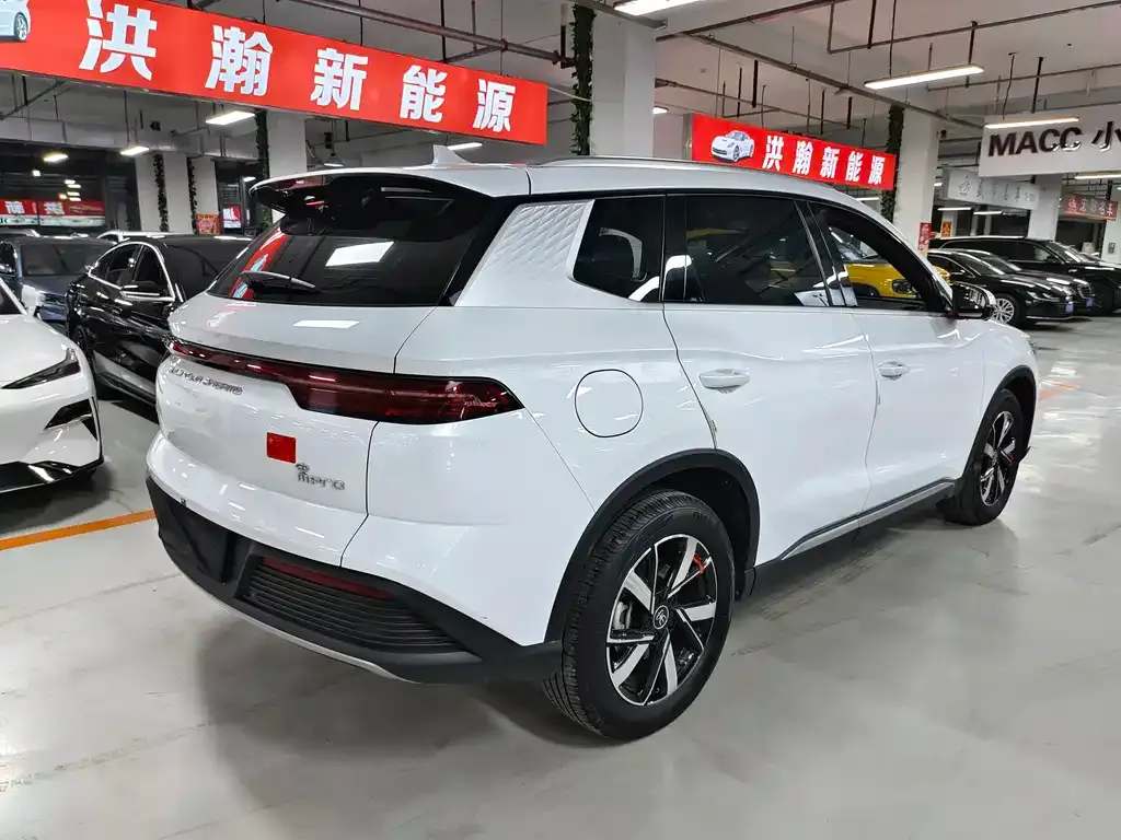 BYD Pro New Energy 2024 из CN, фото 5