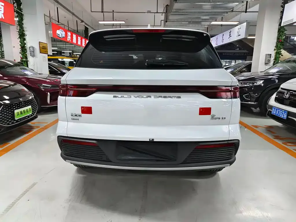 BYD Pro New Energy 2024 из CN, фото 2