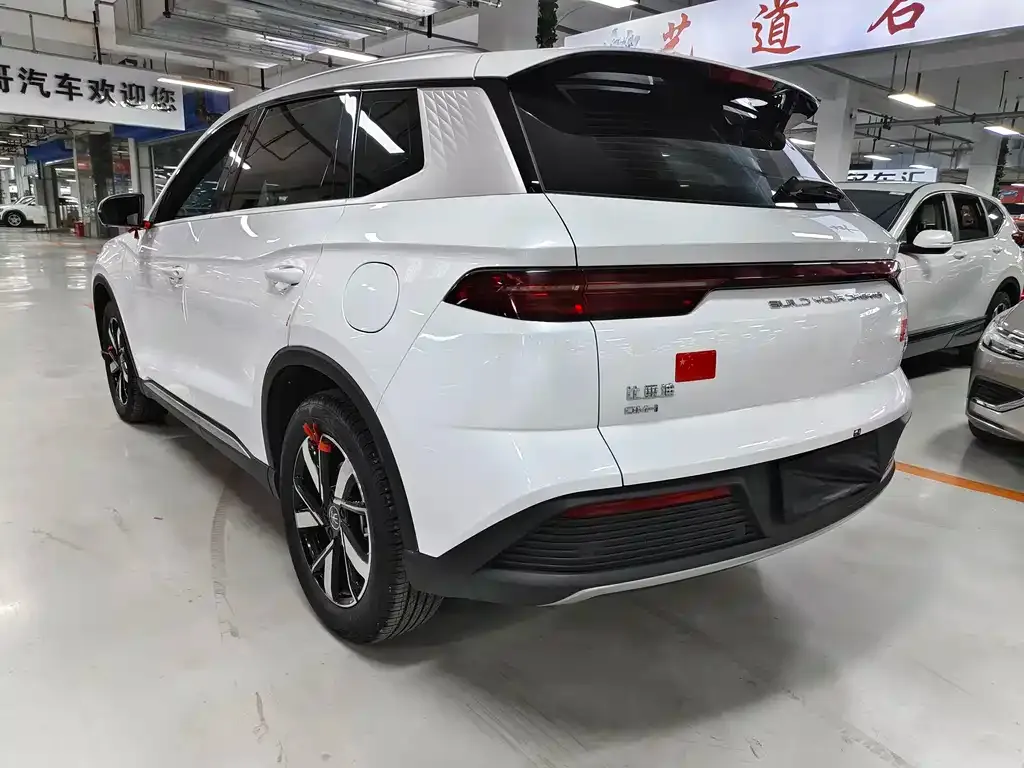 BYD Pro New Energy 2024 из CN, фото 9