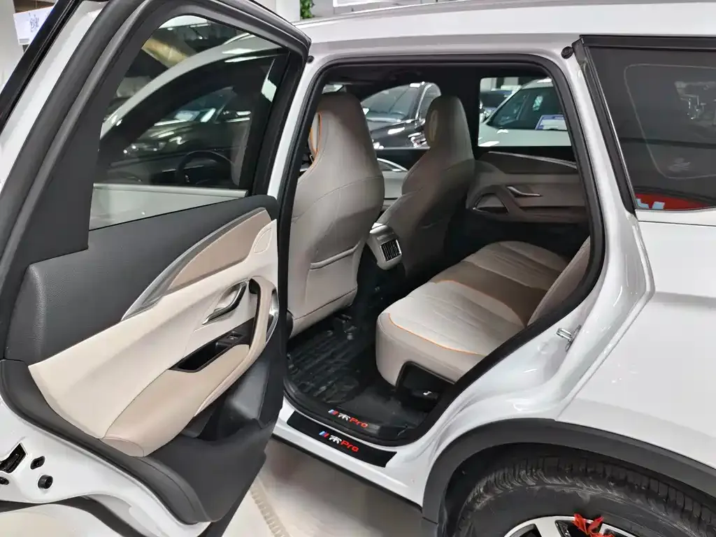 BYD Pro New Energy 2024 из CN, фото 7