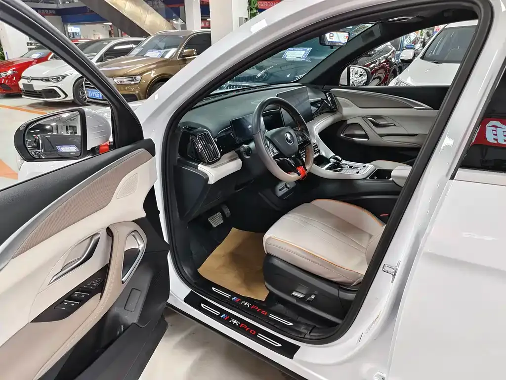 BYD Pro New Energy 2024 из CN, фото 3