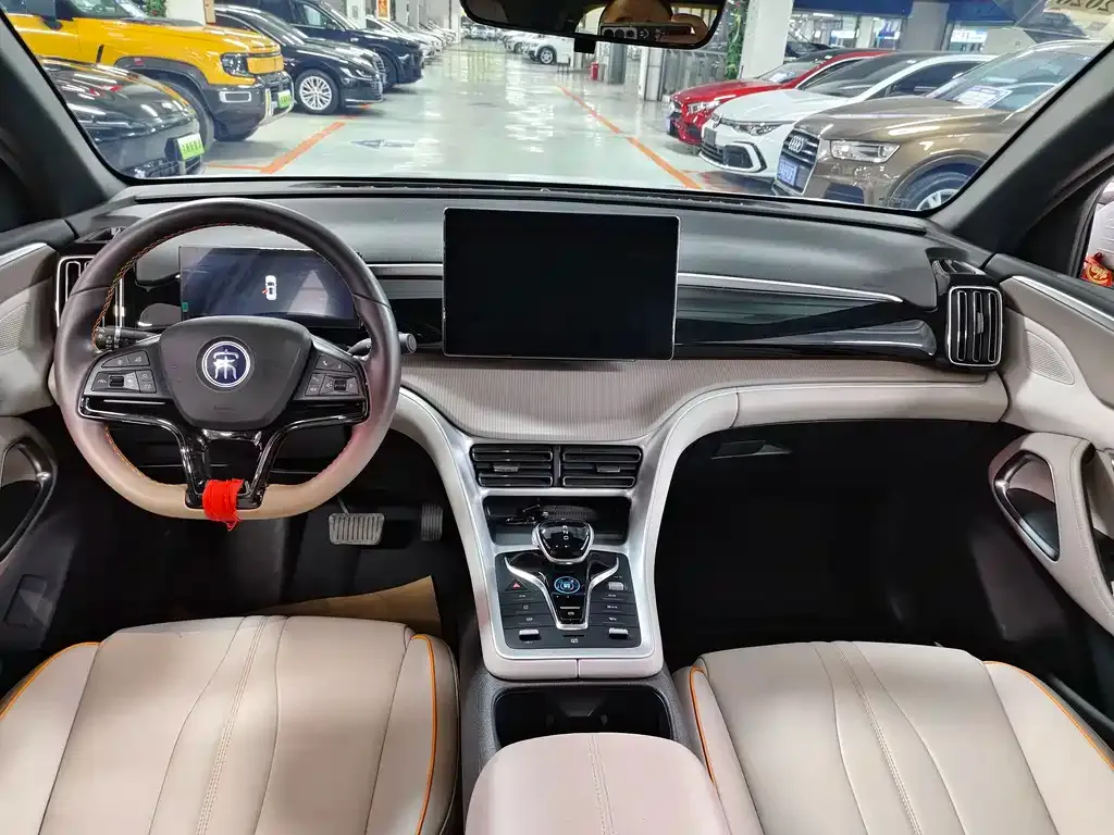 BYD Pro New Energy 2024 из CN, фото 8