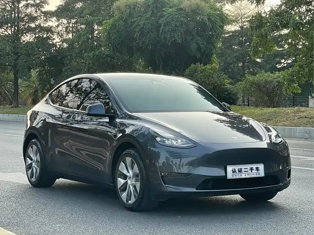 Tesla Model Y — фото 6