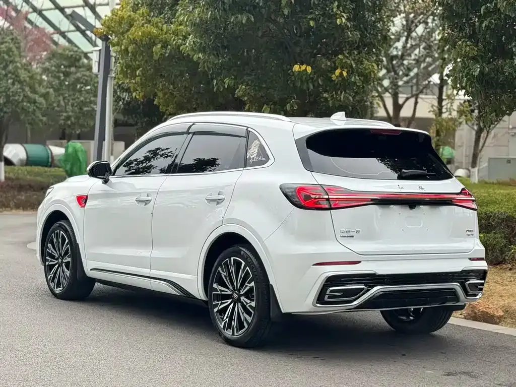 Hongqi HS5 2023 из CN, фото 7