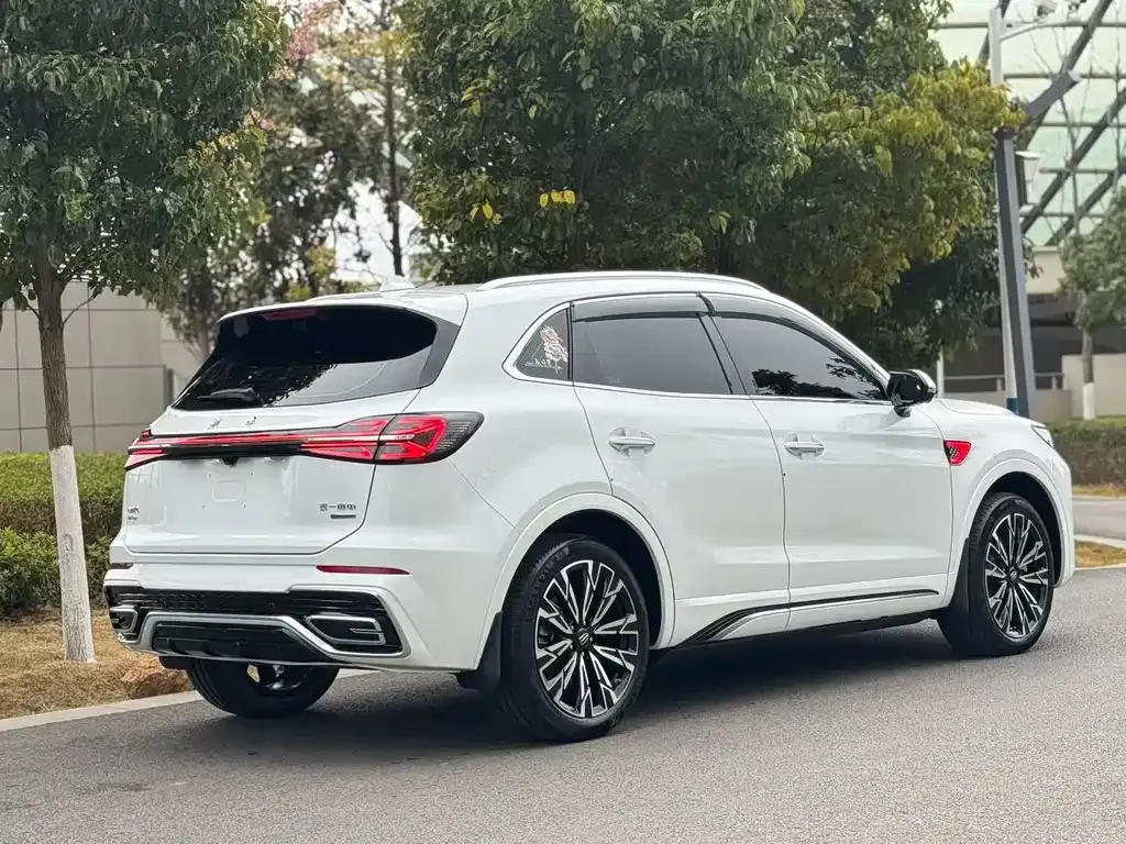 Hongqi HS5 2023 из CN, фото 8