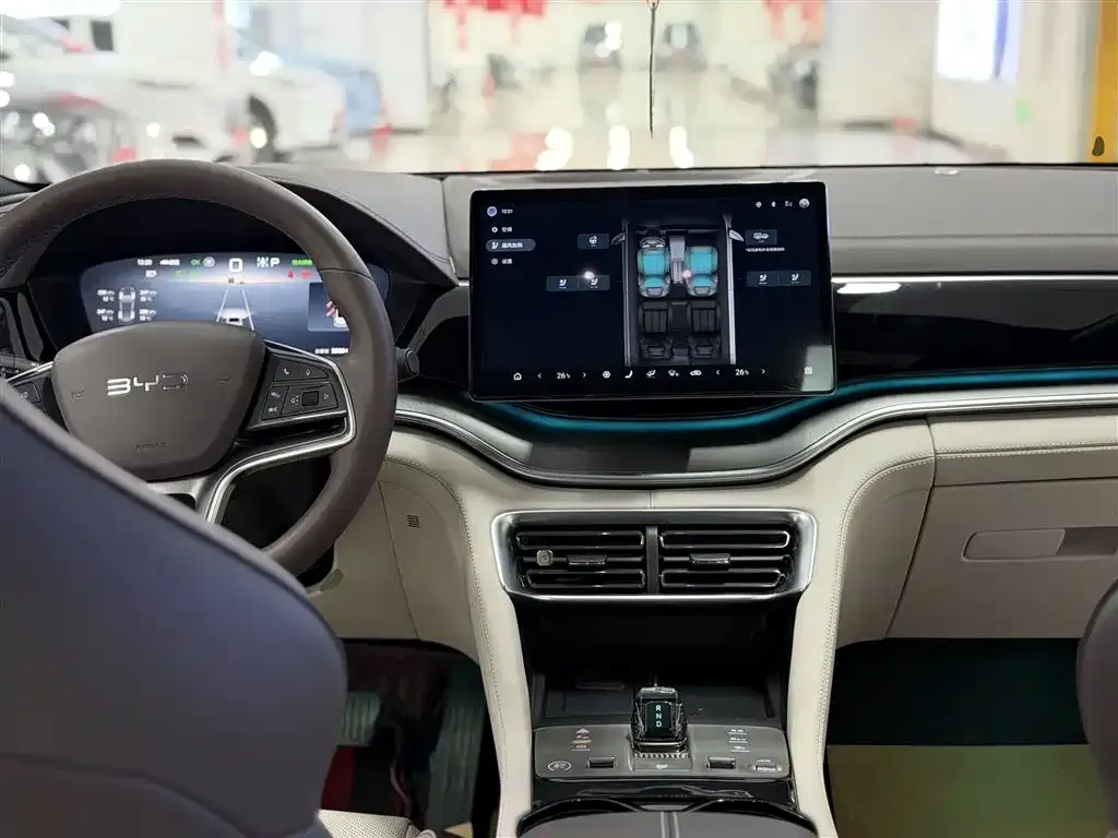 BYD PLUS New Energy — фото 10