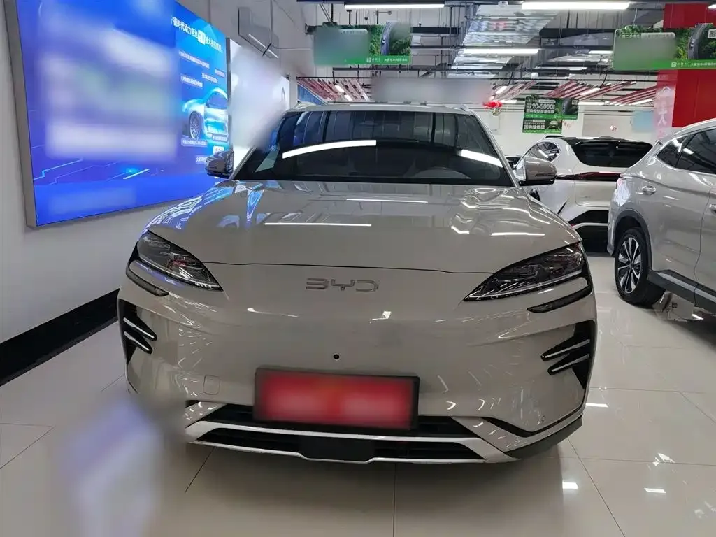 BYD PLUS New Energy — фото 3