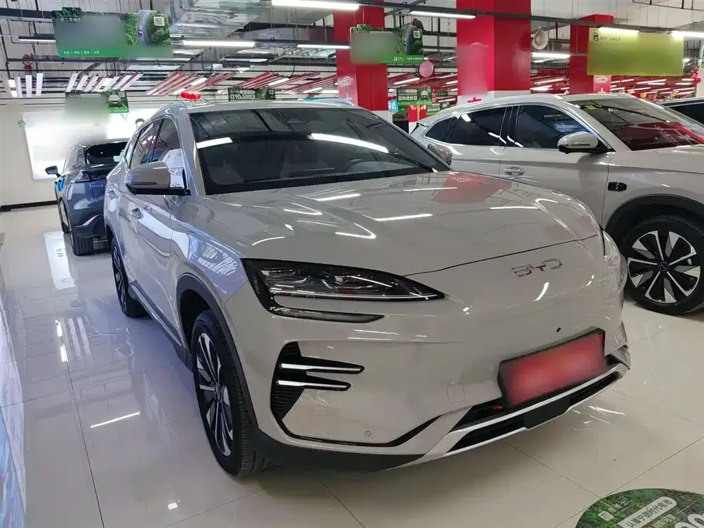 BYD PLUS New Energy — фото 4