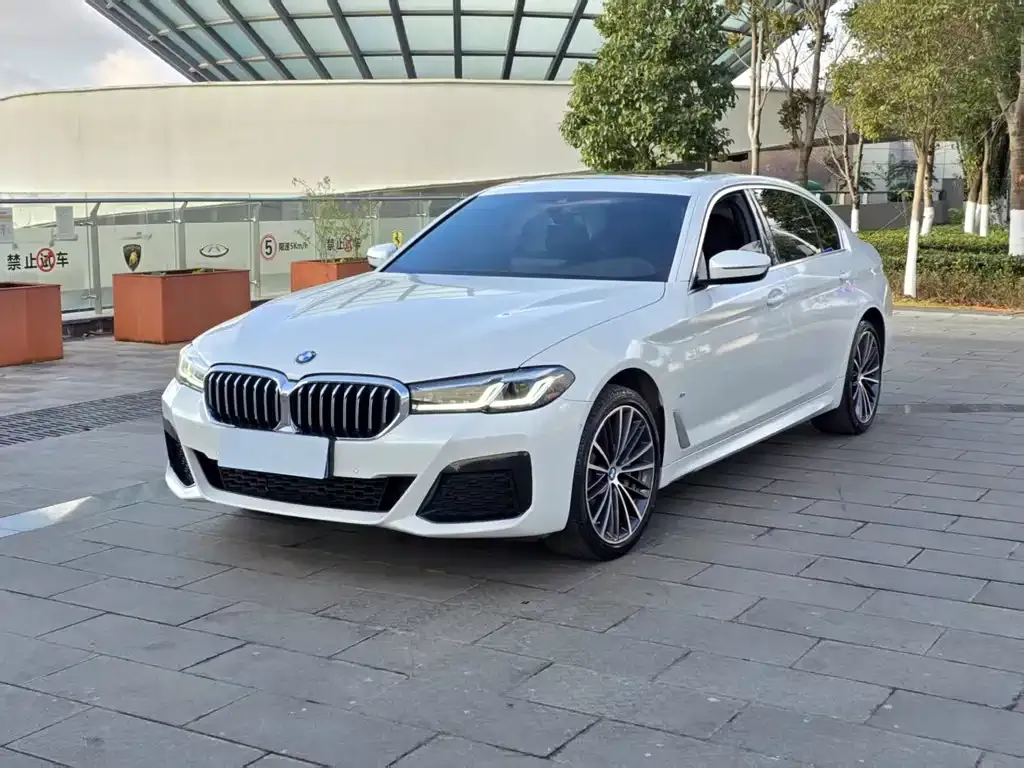 BMW 5 Series 2023 из CN, фото 1