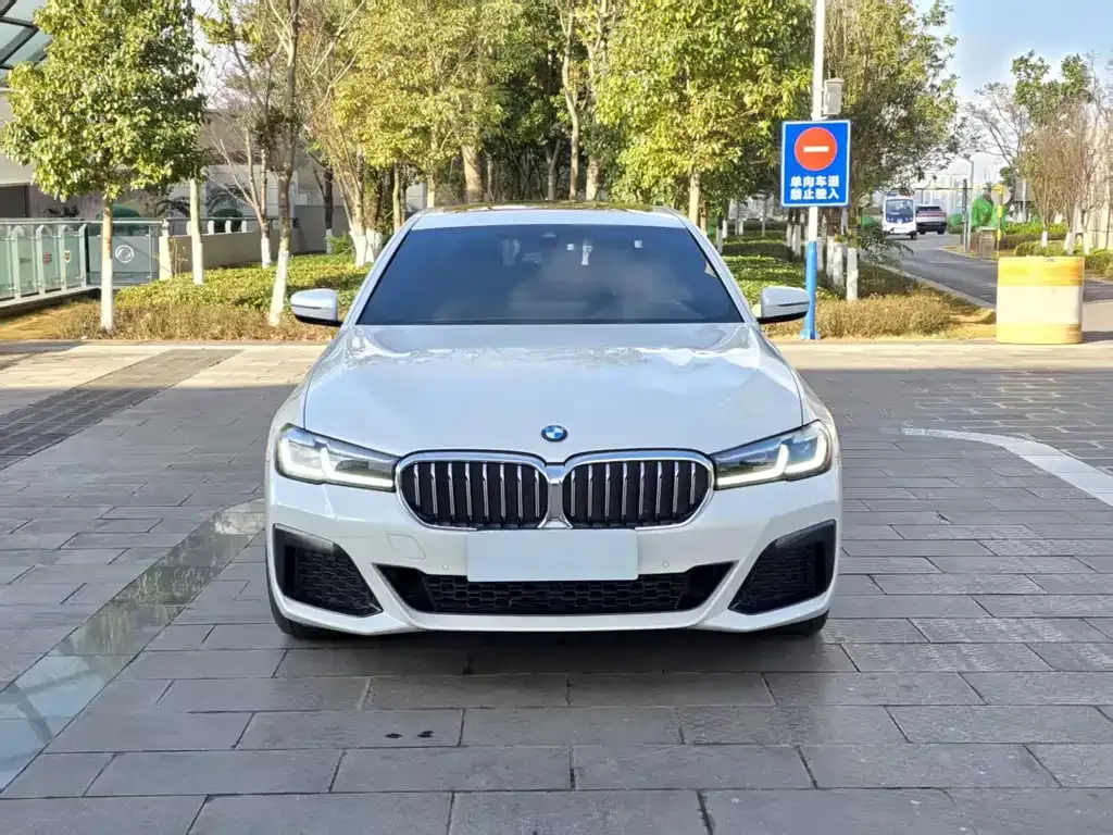BMW 5 Series 2023 из CN, фото 8