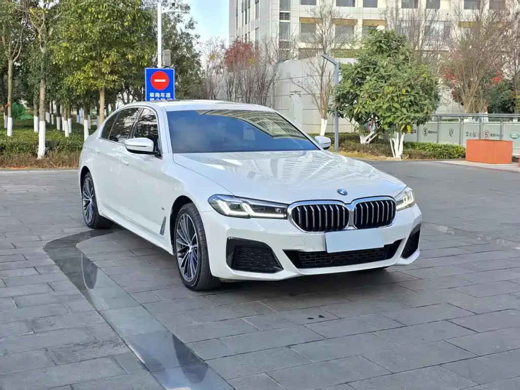 BMW 5 Series 2023 из CN, фото 4